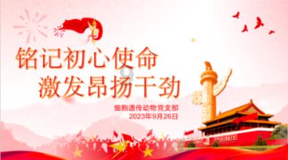 召唤神龙万宁版祖龙